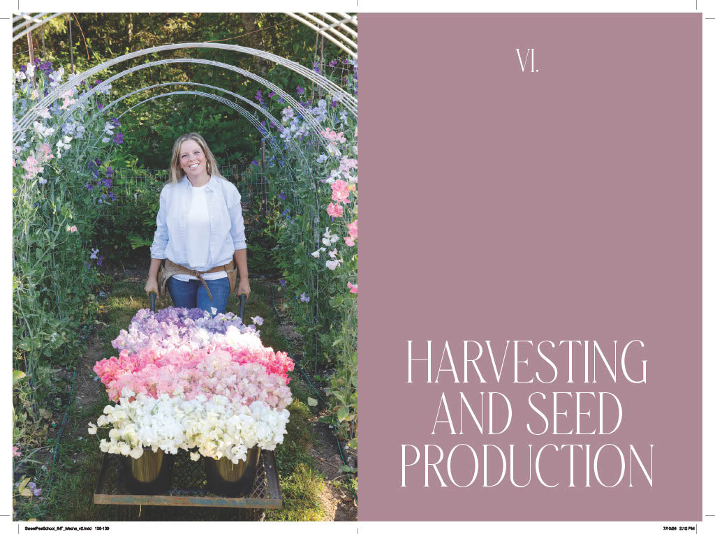 Sweet Pea School THE BOOK: Growing and Arranging the Garden's Most Romantic Blooms