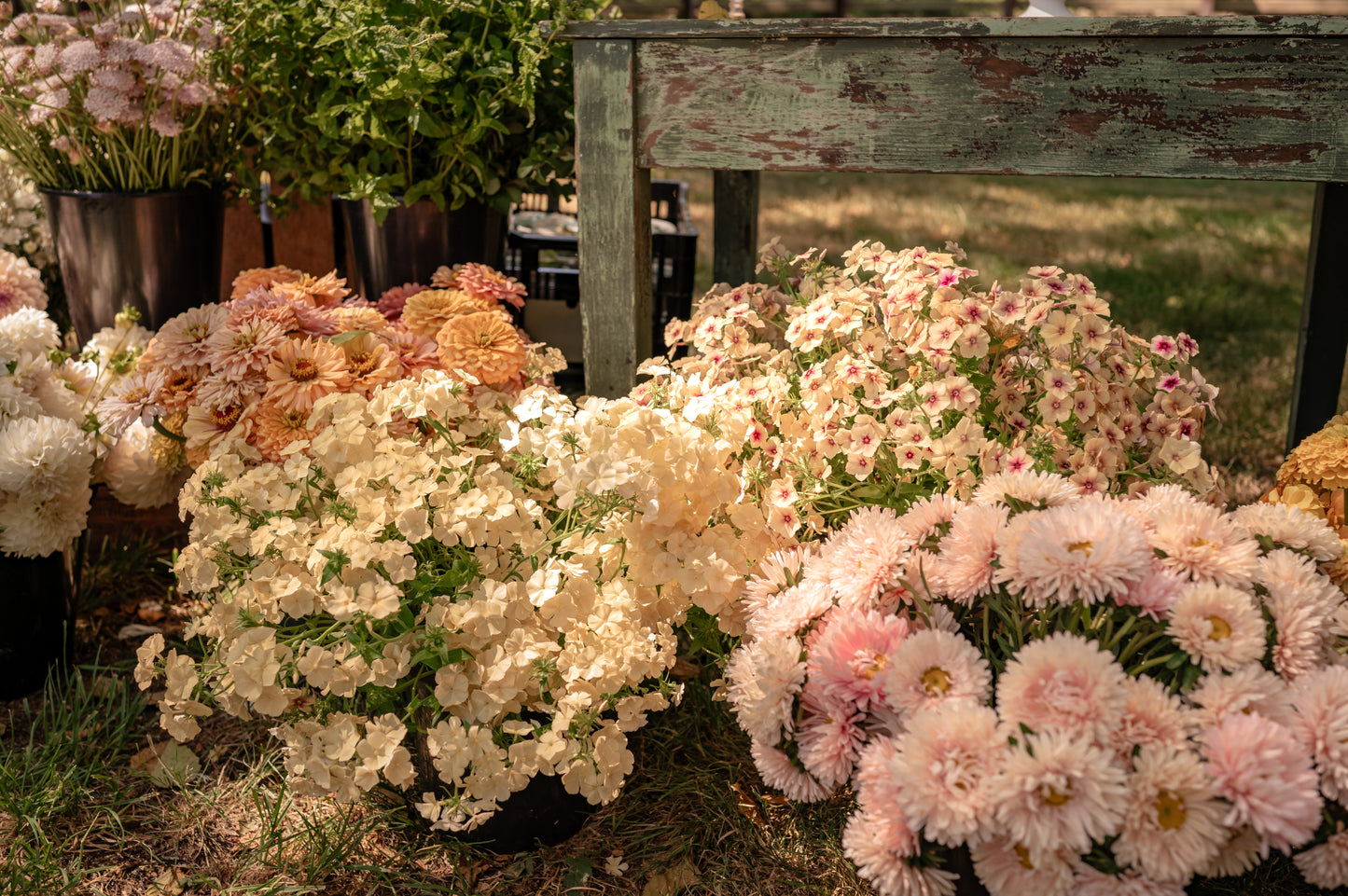 Floral Arranging on the farm - Saturday, August 16th 11-2pm