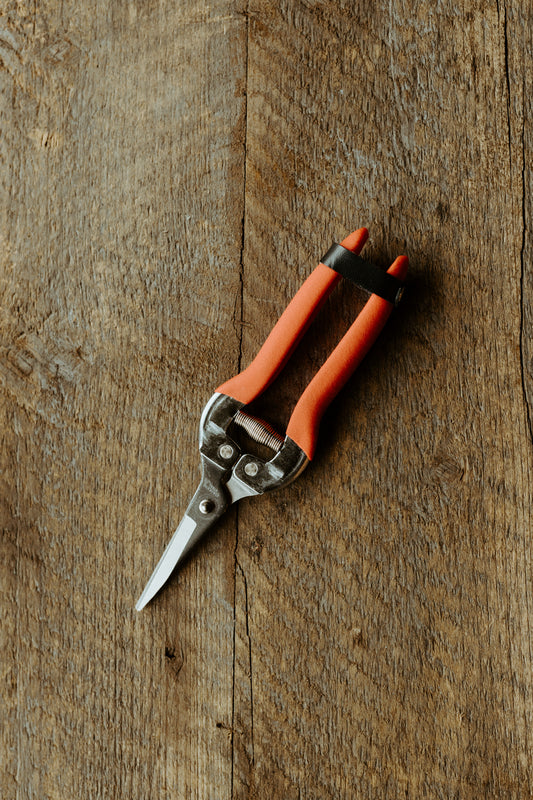 Flower Snips