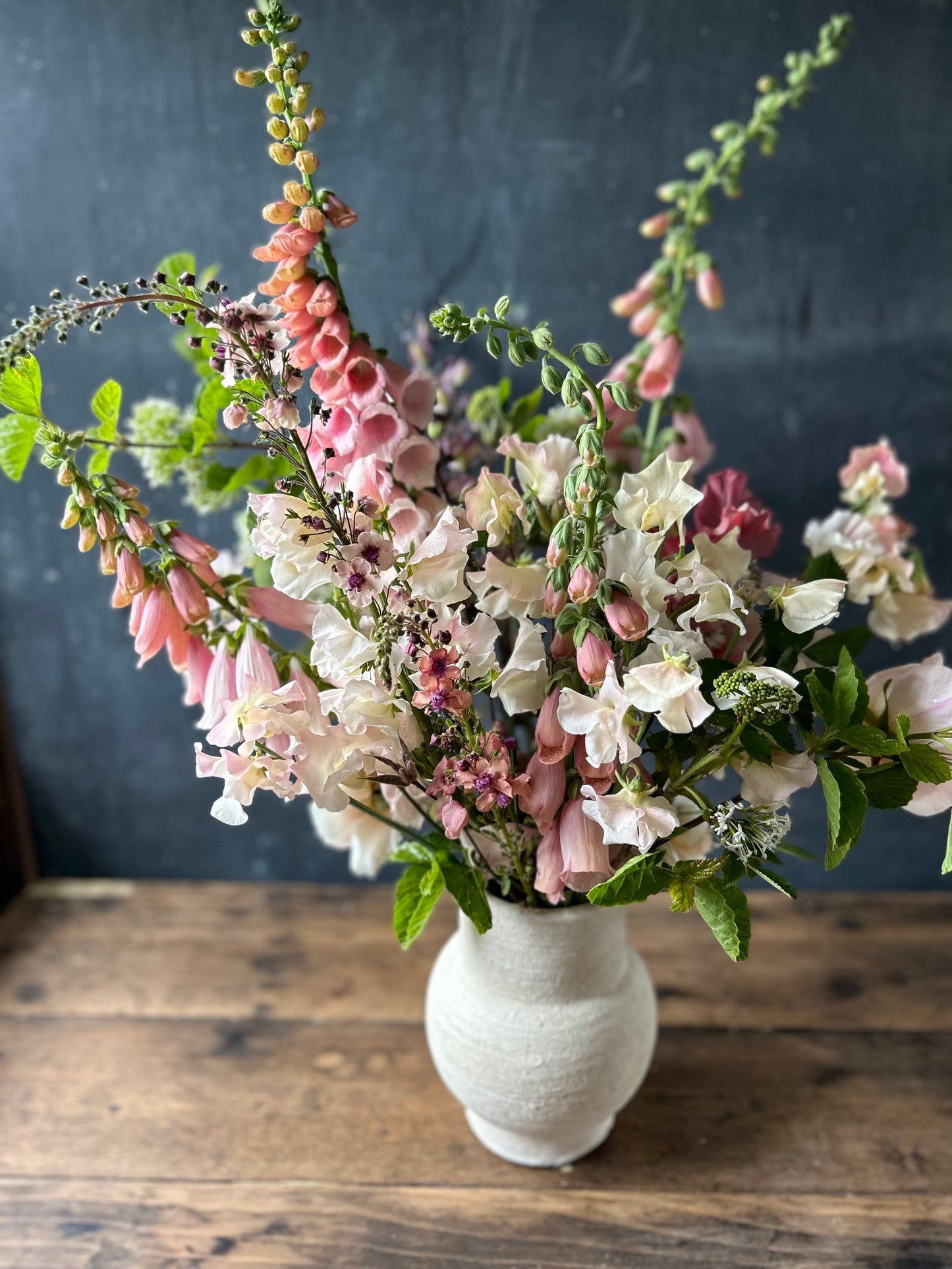 Foxglove - Apricot Beauty