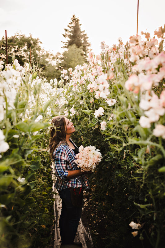 Sweet Pea School - Online Class -  10/11/25 2pm PST