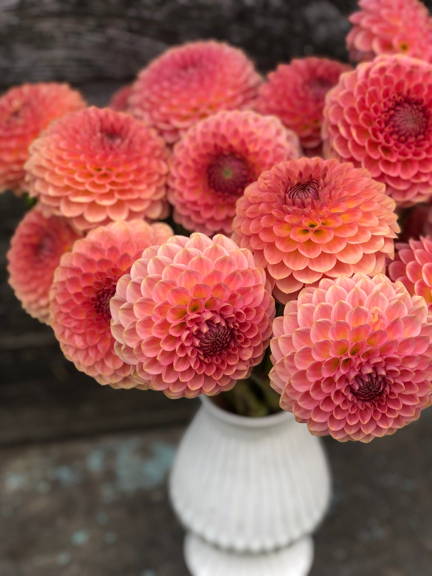 20th Avenue Softer Peach