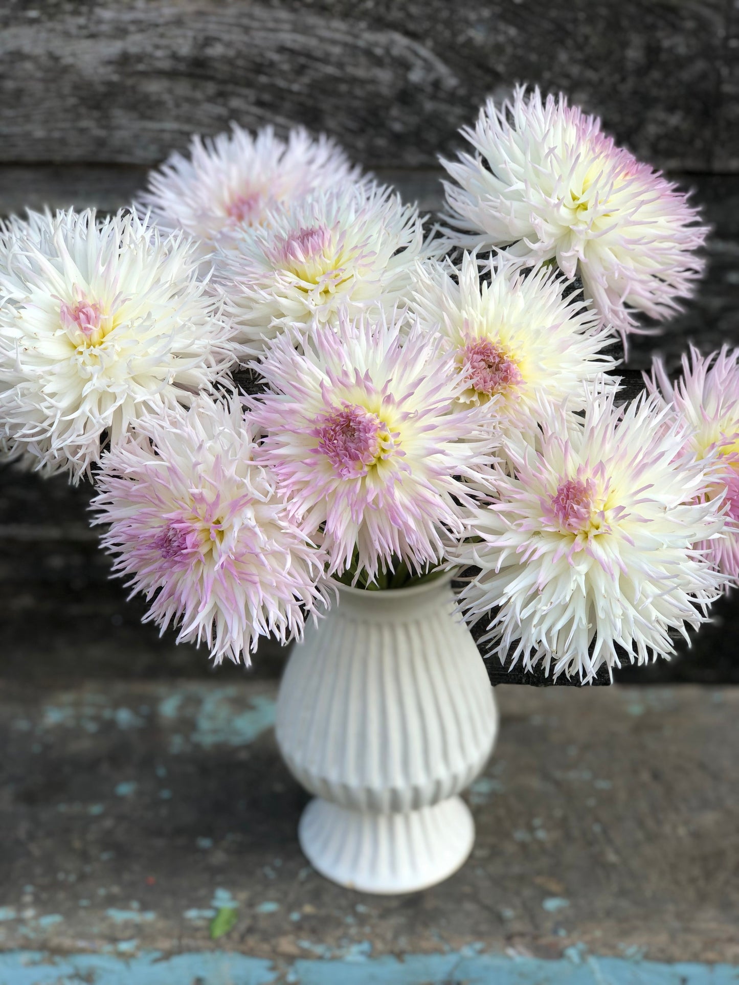 Normandie Wedding Day - LIMIT 1