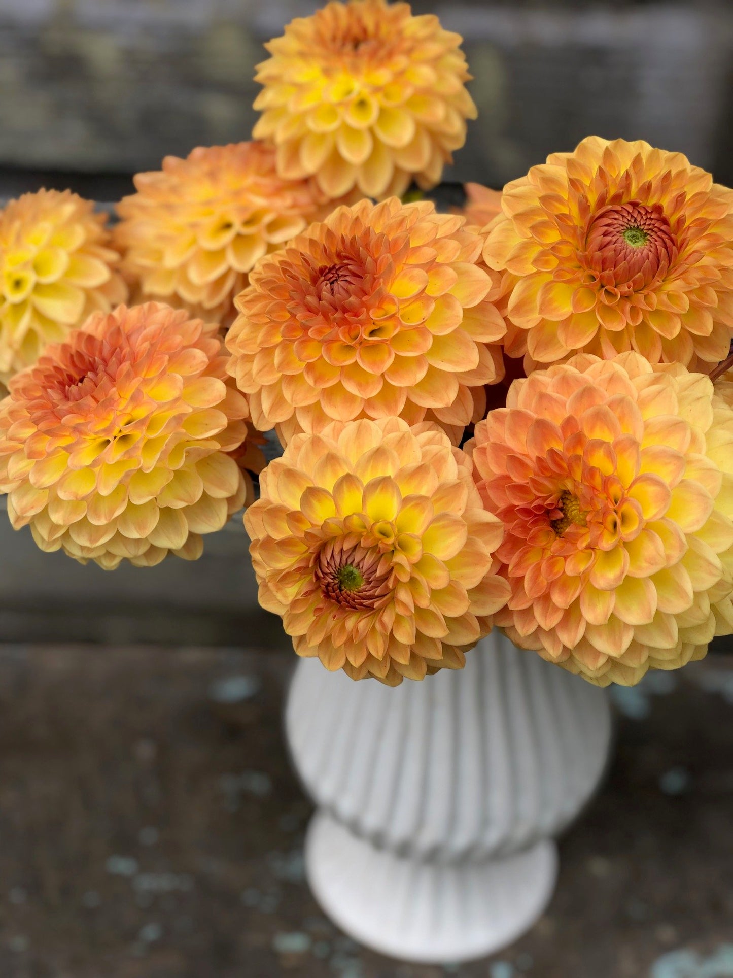 Blyton Softer Gleam