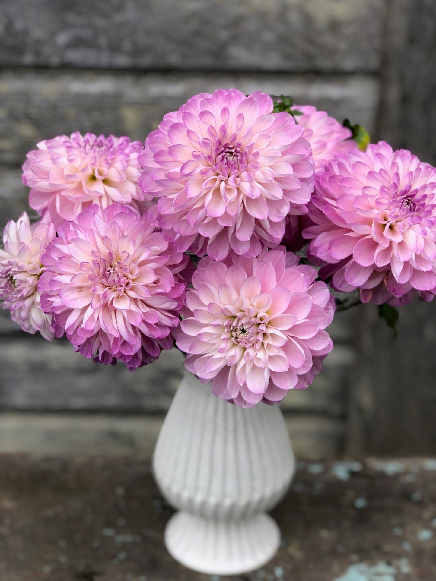 Marionberry Milkshake