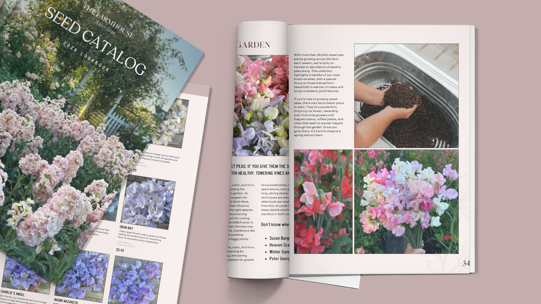 2026 Seed Catalog