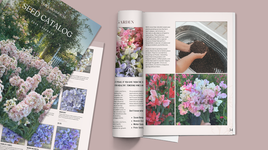2026 Seed Catalog
