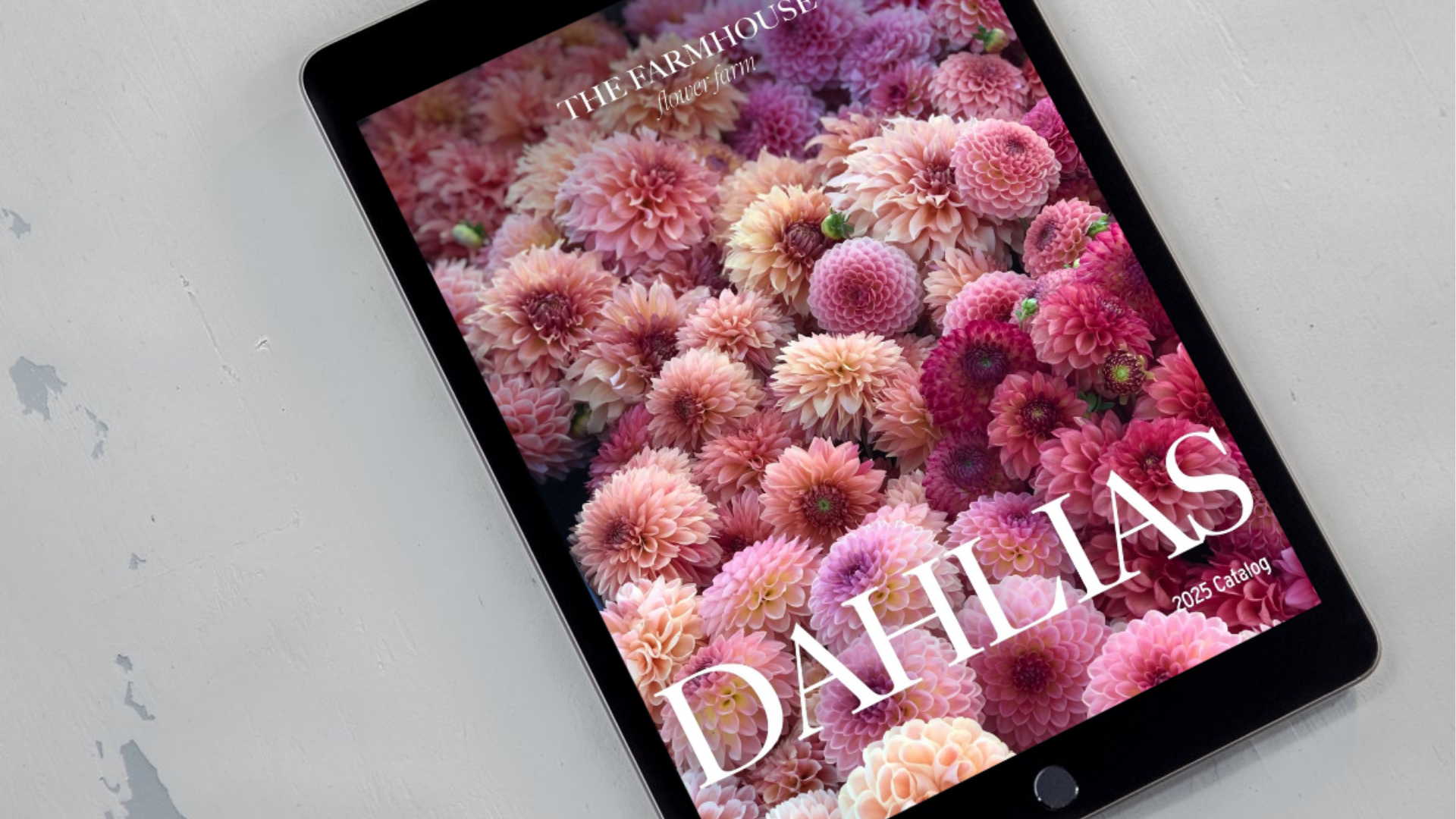Dahlia Catalog 2025 The Farmhouse Flower Farm