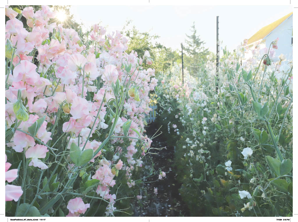 Sweet Pea School THE BOOK: Growing and Arranging the Garden's Most Romantic Blooms (PRE-ORDER)