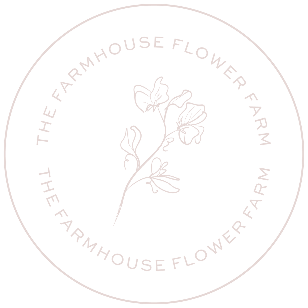 20th Avenue Softer Peach – The Farmhouse Flower Farm