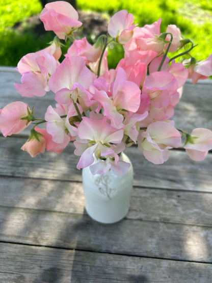 Sweet Pea Vase