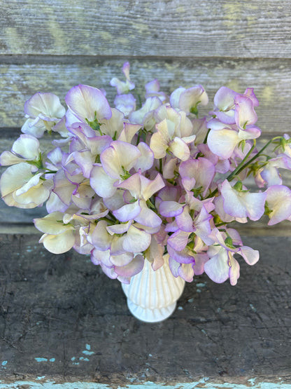 Sweet Pea - High Scent