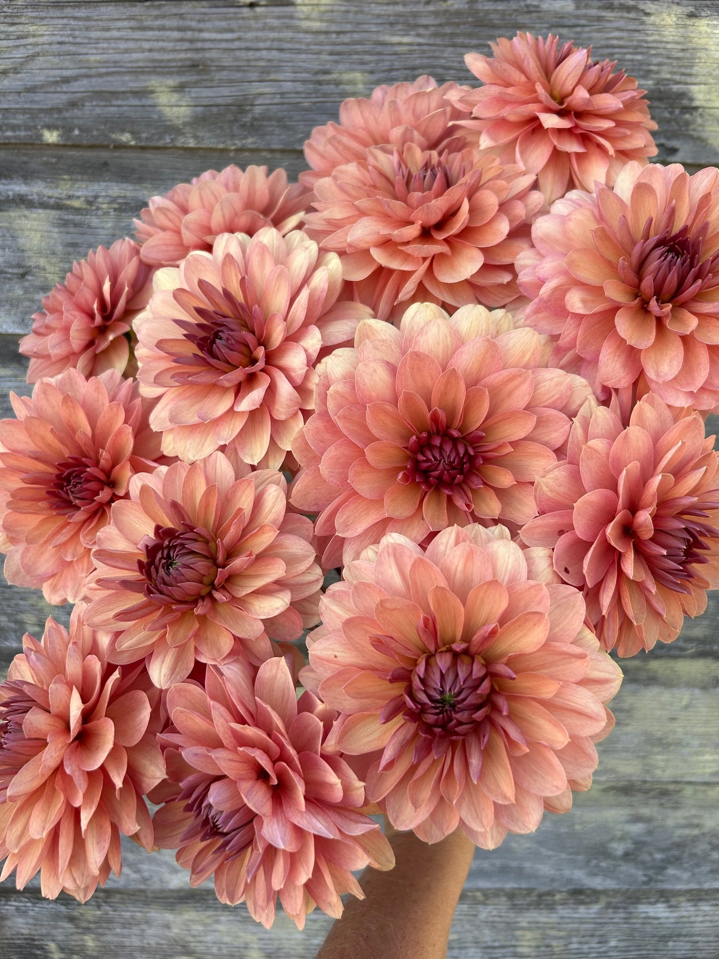 Chateau de la Bourdaisiere - LIMIT 1