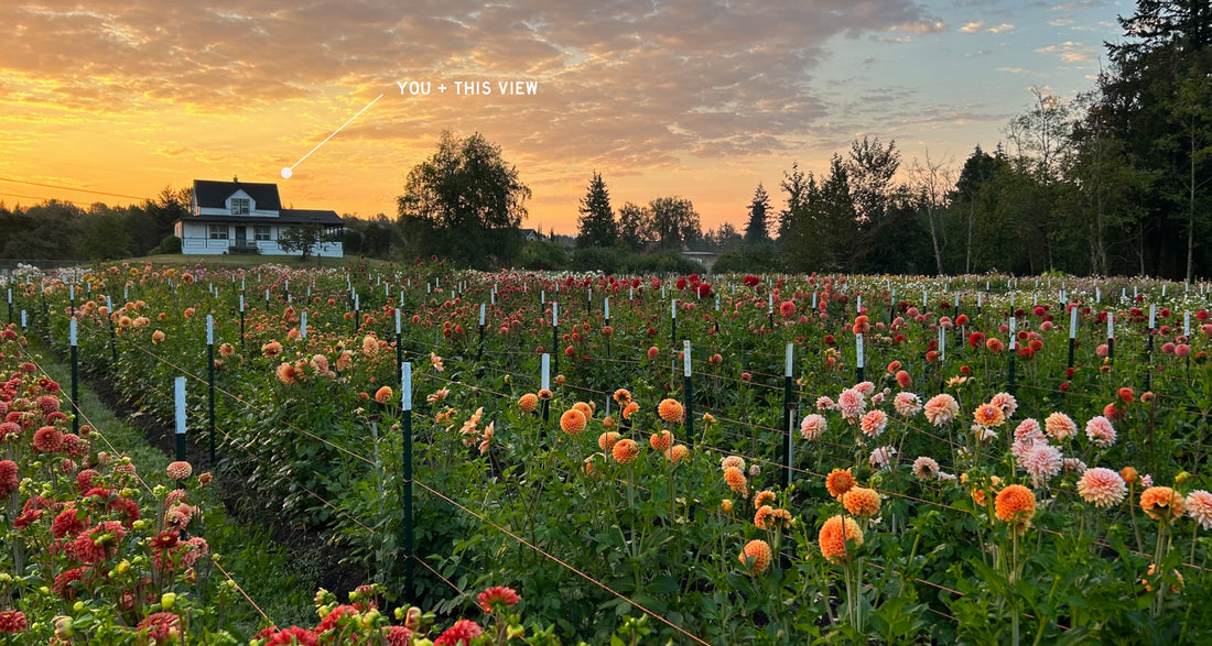 Farmhouse Vacation Rental | The Farmhouse Flower Farm