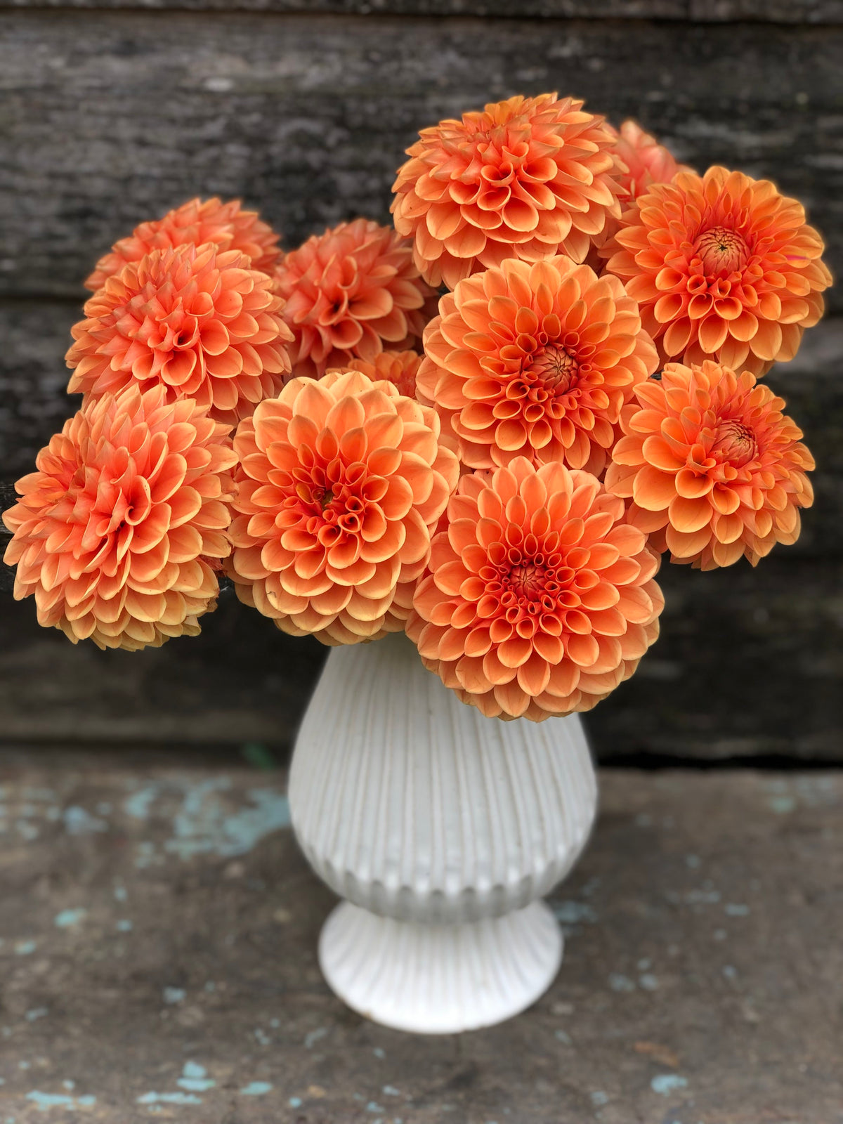 Maarn – The Farmhouse Flower Farm