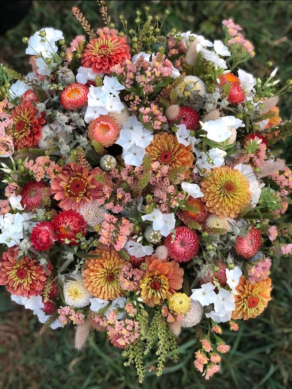 Cress - Persian Cress – The Farmhouse Flower Farm